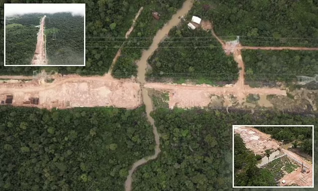 Amazonas esőerdő irtás