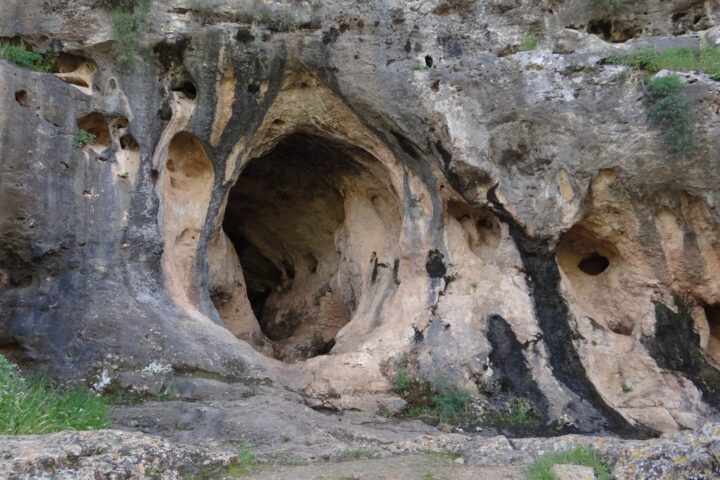 hibrid emberi koponya