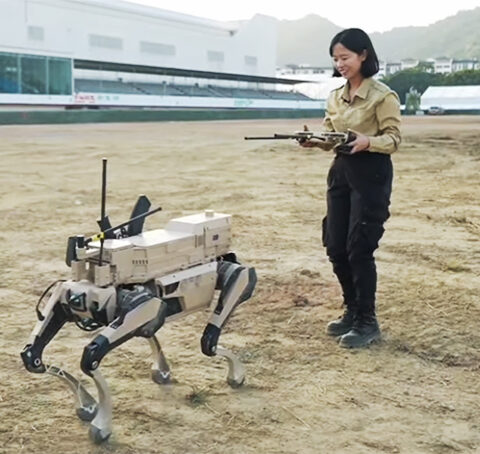 Kina, hadsereg, robotfarkas