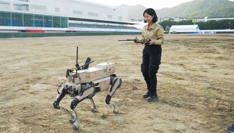 Kina, hadsereg, robotfarkas