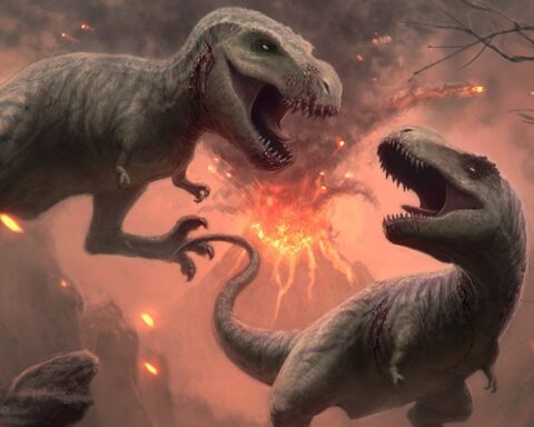 T. rex