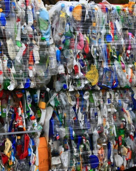 műanyagevő kukacok