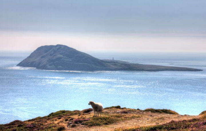 megélhetés Walesben