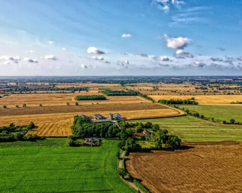 hoxne-i kincs Suffolk