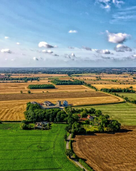 hoxne-i kincs Suffolk