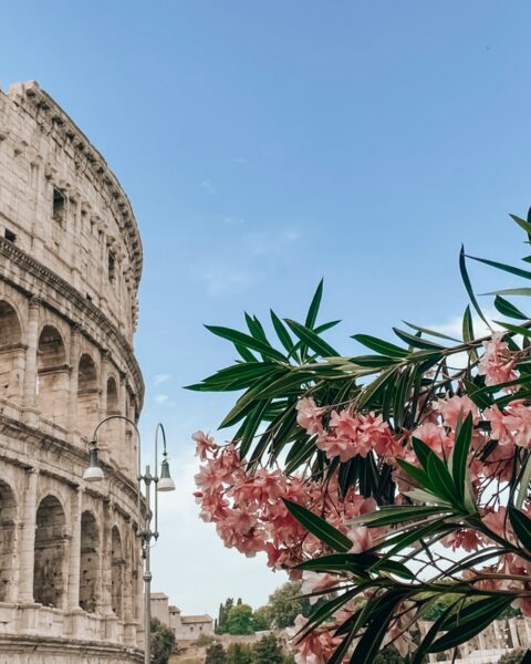 művészet a fasizmusban