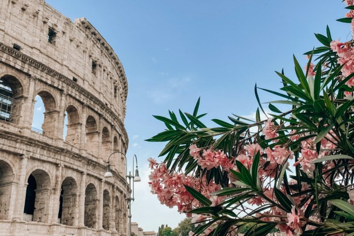 művészet a fasizmusban