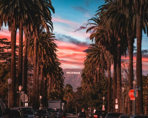 los angeles-i hajléktalanság