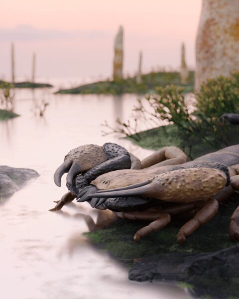 skorpió